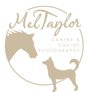 Mel Taylor Photography logo