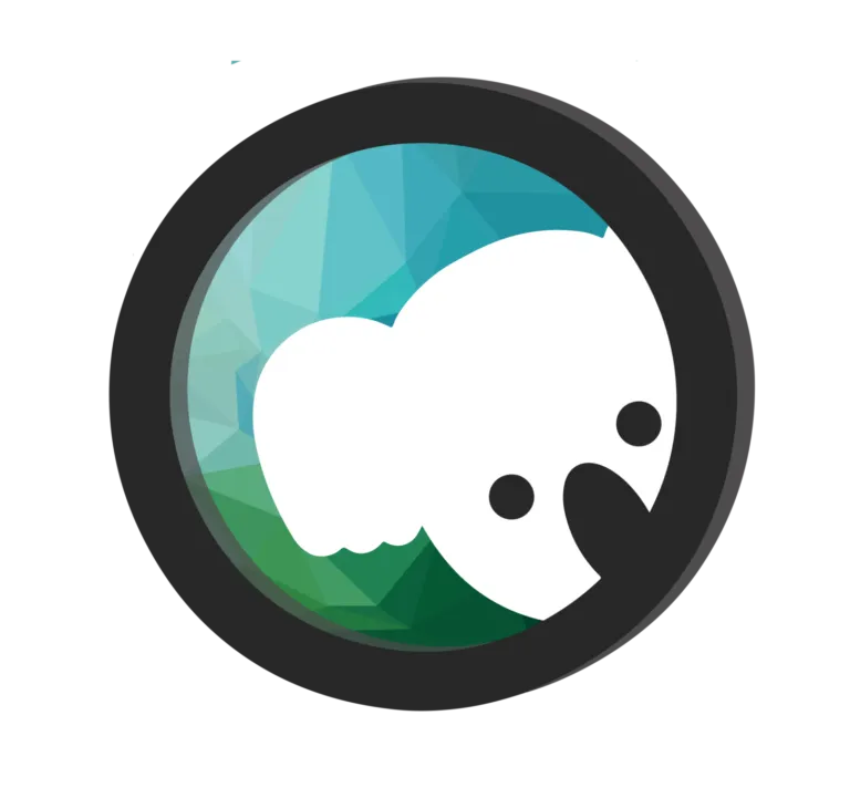 Koala IT logo