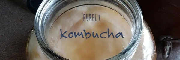 Purely Kombucha logo
