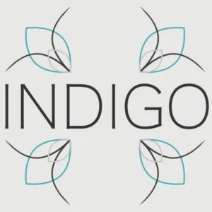 Indigo Beauty Salon – Unisex logo