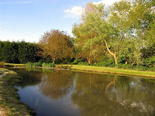 Brookleas Fish Farm