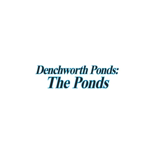 Denchworth Pond & Garden Services logo