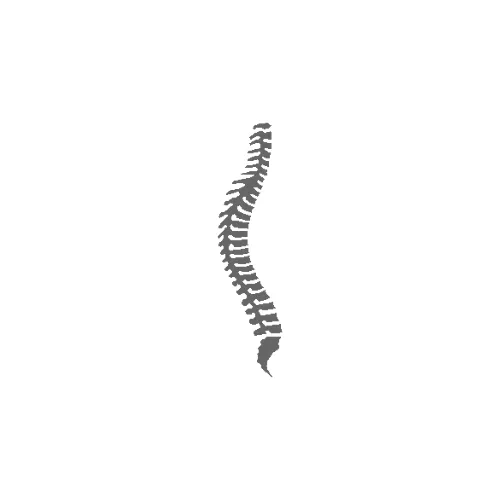 Rachel Chandler Chiropractic logo