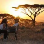 Tanzania Safari Company logo