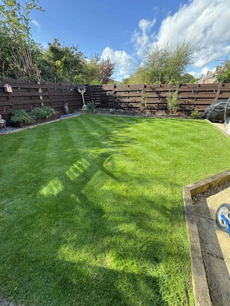 Sean’s Lawns