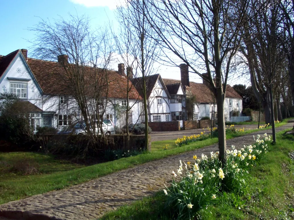 The tree-lined raised Causeway through Steventon with cottages