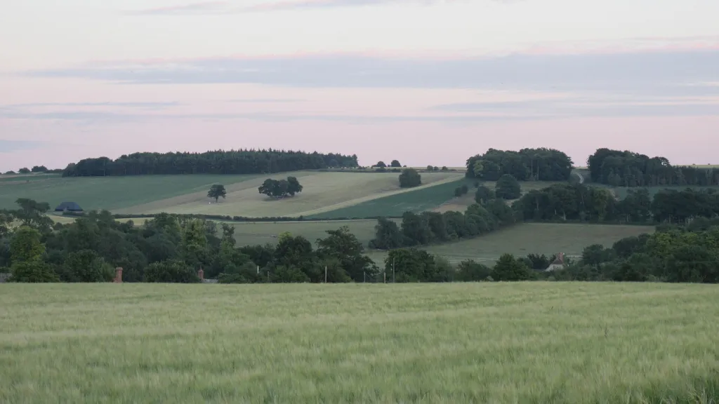 West Ginge and the surrounding farmland below the downs