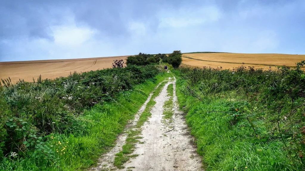 The Ridgeway, a chalk track between green verges, climbing towards White Horse Hill