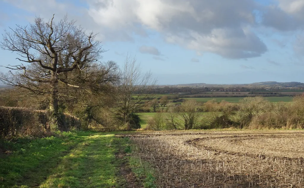 Farmland view from Kingston Lisle towards the Vale