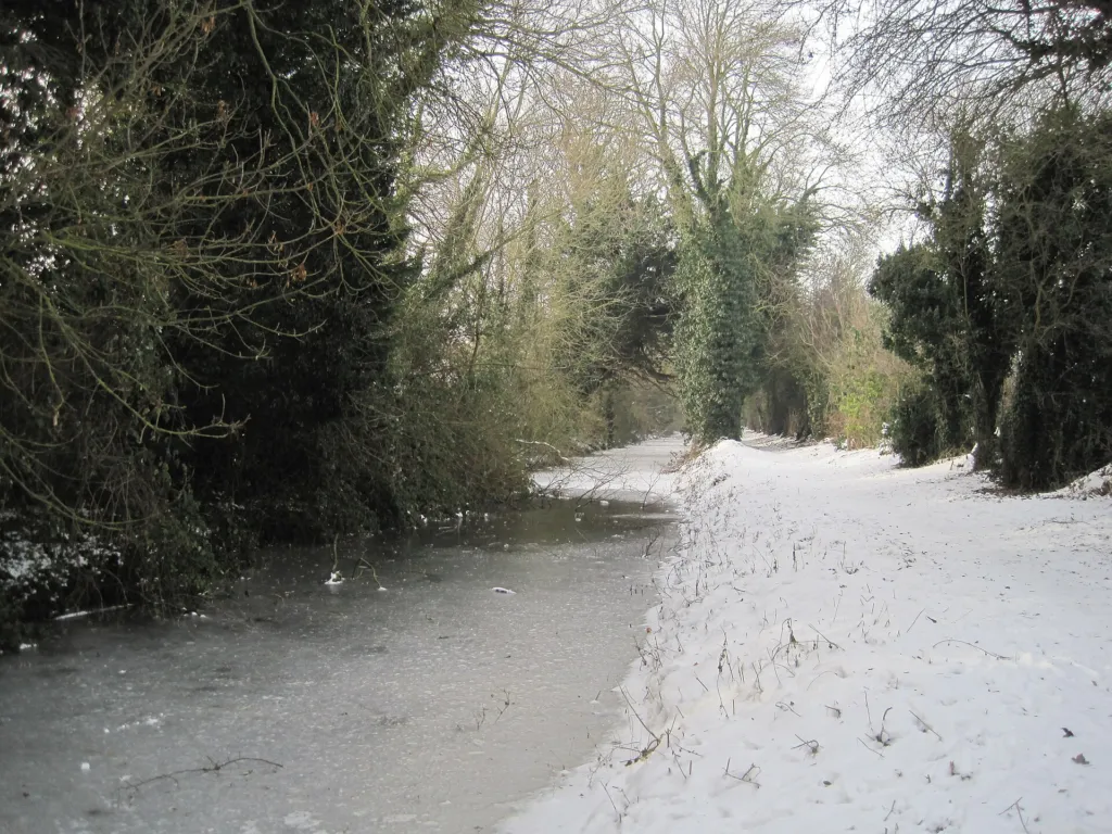 The abandoned Wilts and Berks Canal at Grove under snow, lined with trees