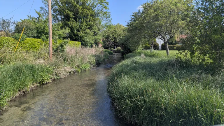 Letcombe Brook Project
