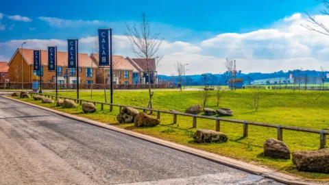 Open green space at Kingsgrove