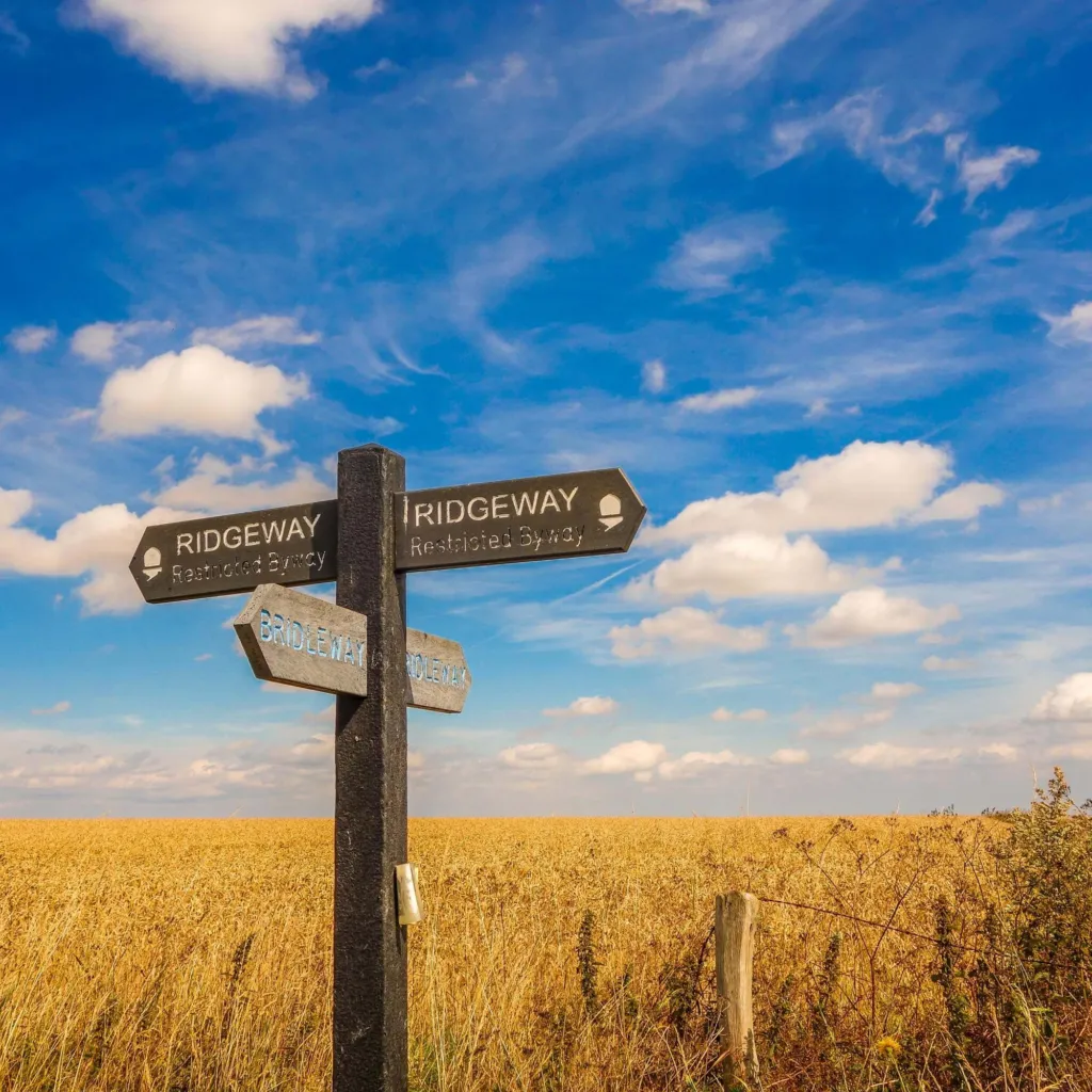 A Ridgeway signpost on the downs